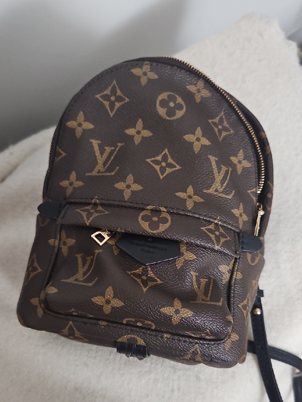 Louis Vuitton Monogram Mini Backpack in Brown and Tan
